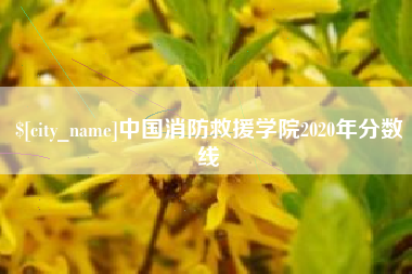 霸州中国消防救援学院2020年分数线