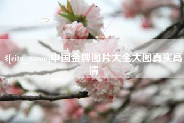 霸州中国金牌图片大全大图真实高清