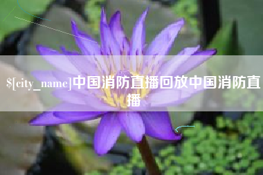 霸州中国消防直播回放中国消防直播