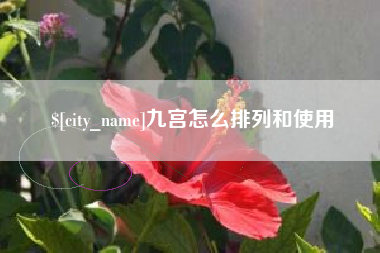 霸州九宫怎么排列和使用