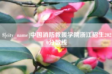 霸州中国消防救援学院浙江招生2020分数线