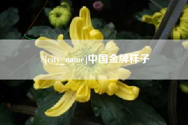 霸州中国金牌样子