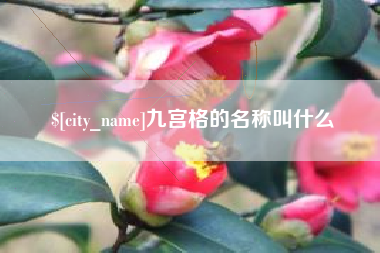 霸州九宫格的名称叫什么