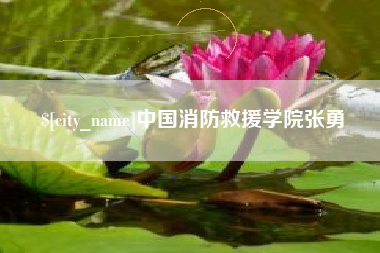 霸州中国消防救援学院张勇
