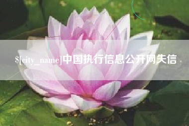 霸州中国执行信息公开网失信
