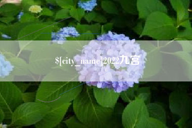 霸州2022九宫